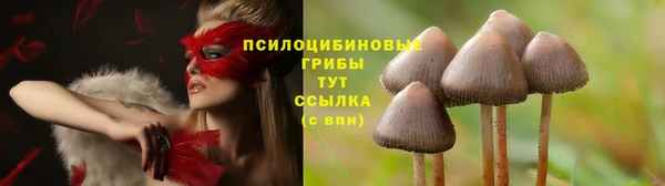 амфетамин Каменка