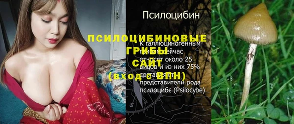 прущие грибы Каменногорск