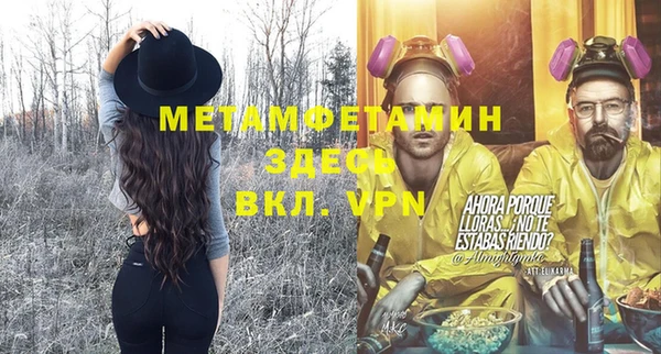 прущие грибы Каменногорск