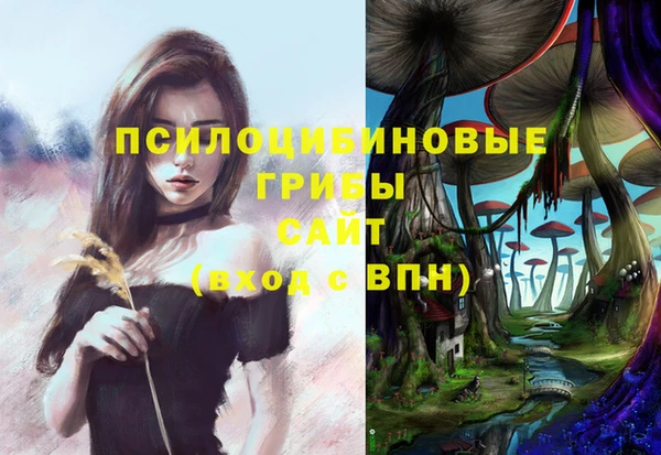 COCAINE Карпинск