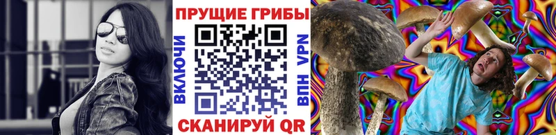 дарнет шоп  Лакинск  Галлюциногенные грибы прущие грибы 